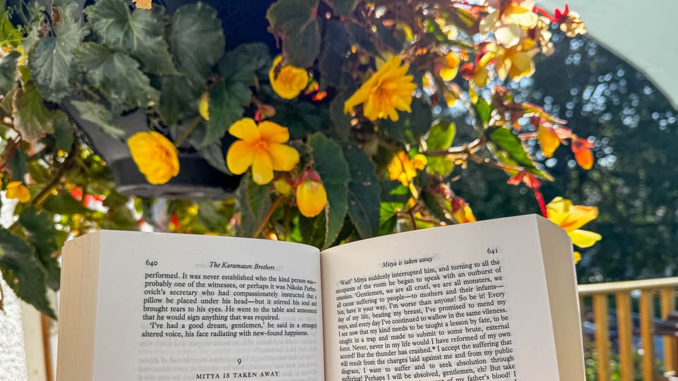 Morning Pages | 20 August 2025